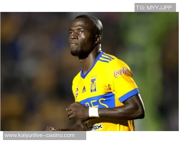 老虎大学与蒙特雷的精彩对决谁能赢得胜利的荣耀